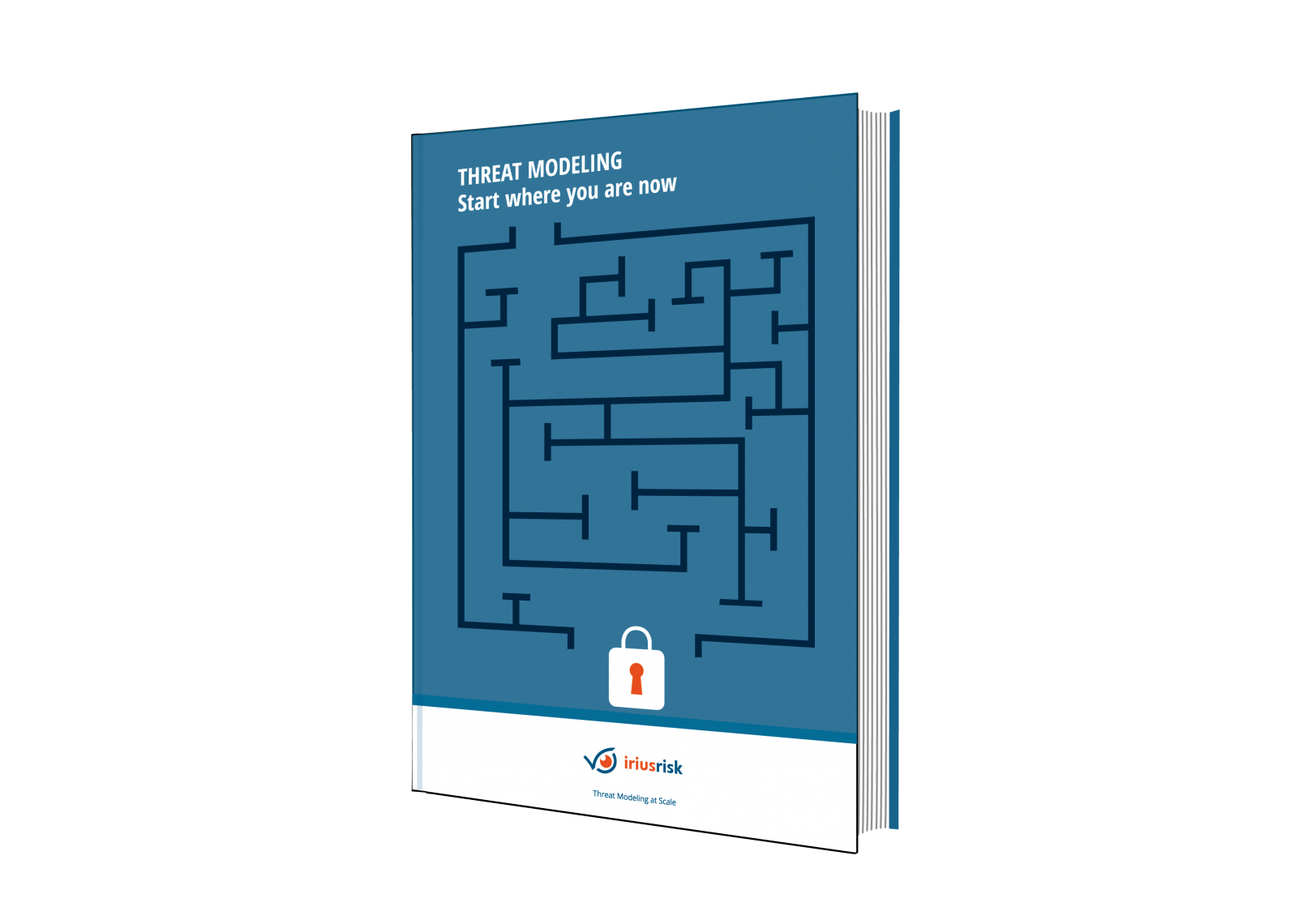 IriusRisk_ebook