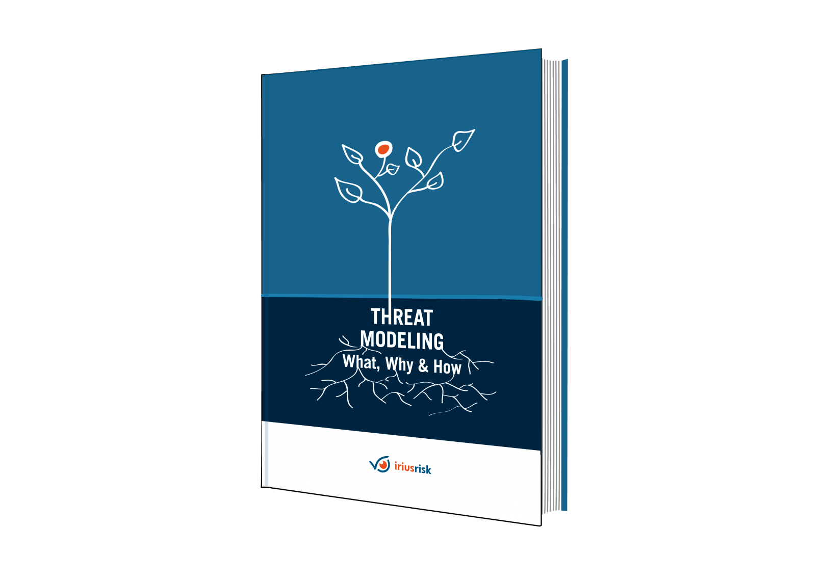 IriusRisk_ebook